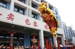 醒狮贺岁，星空网站网页版入口-星空(中国)2019年开工大吉